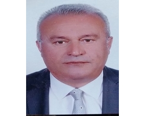 Sabit Sarı