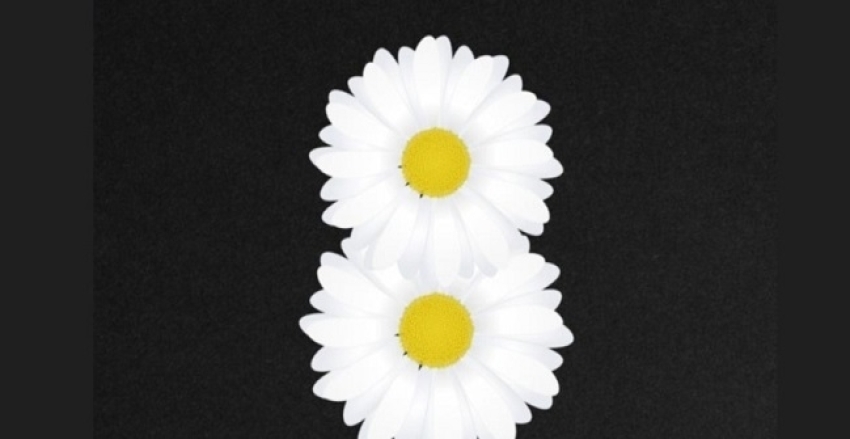 8 MART DÜNYA EMEKÇİ KADINLARIN ESERİDİR